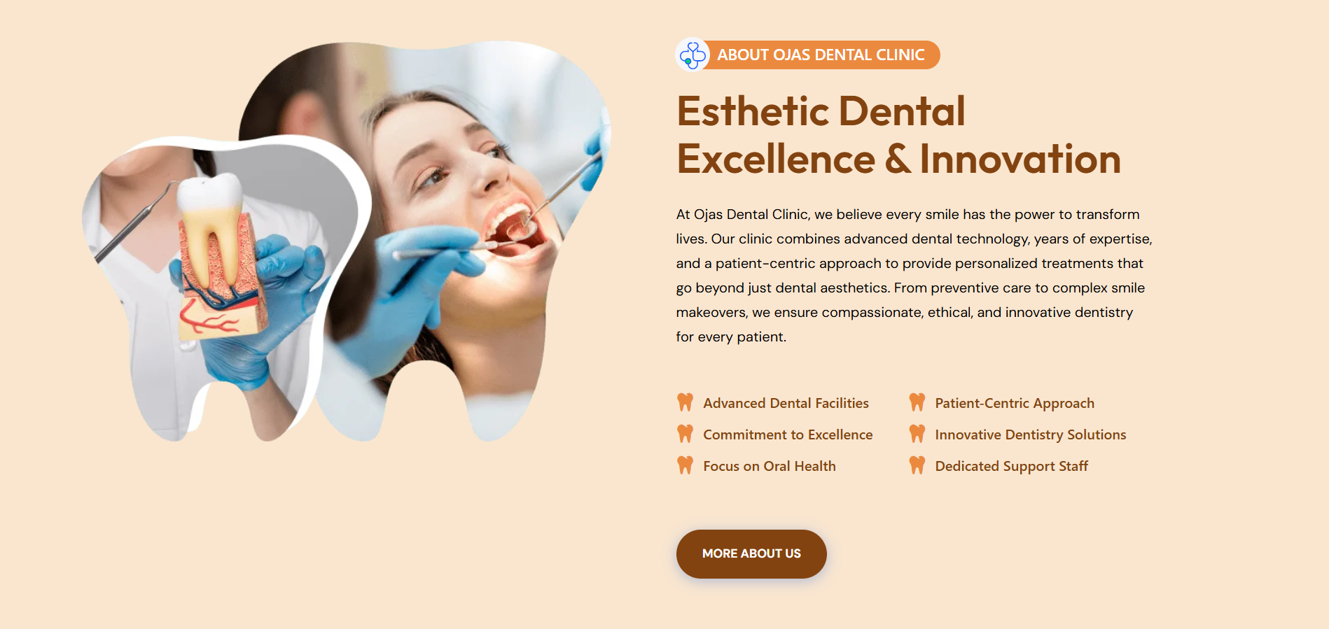 Ojas dental WordPress preview